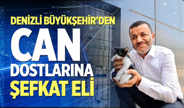 Denizli Büyükşehir’den can dostlarına şefkat eli