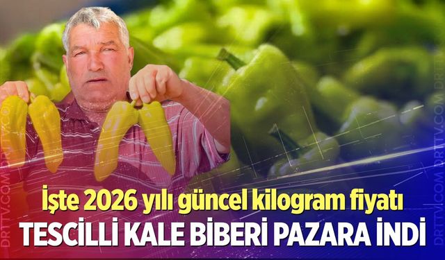 Denizli’de Tescilli Kale Biberi pazara indi