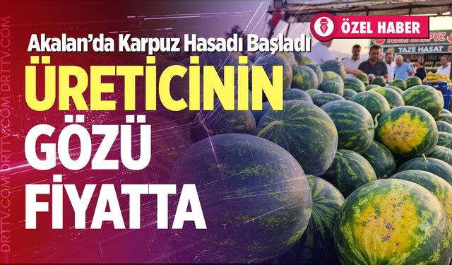 Akalan’da karpuz hasadı başladı: Üreticinin gözü fiyatta