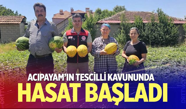 Acıpayam’ın tescilli kavununda hasat başladı