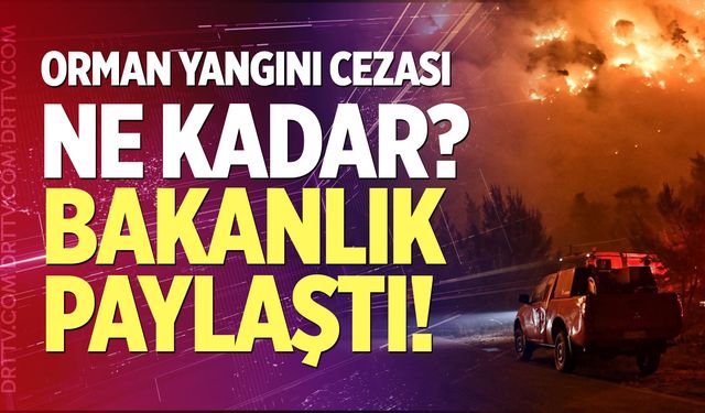 Orman yangını cezası ne kadar? Bakanlık Paylaştı!