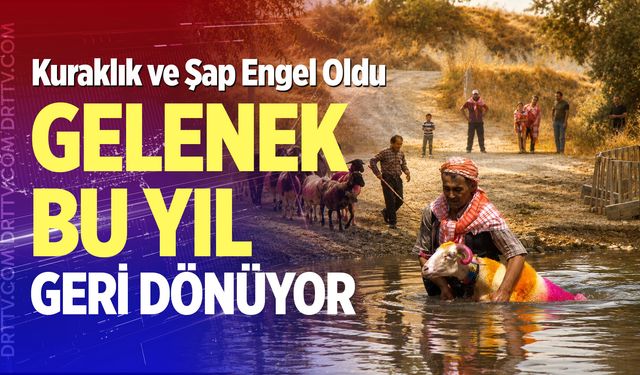 Kuraklık ve şap engel oldu, gelenek bu yıl geri dönüyor