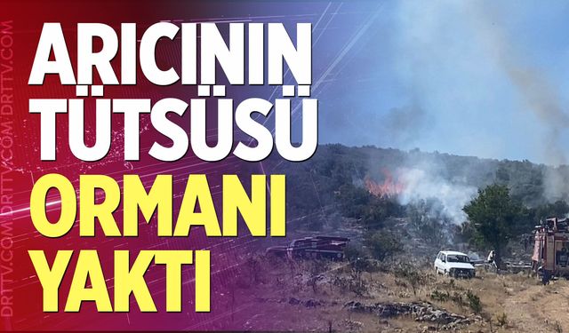 Arıcının tütsüsü ormanı yaktı