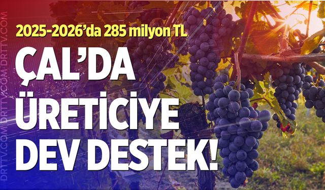 Çal’da Üreticilere devam destek