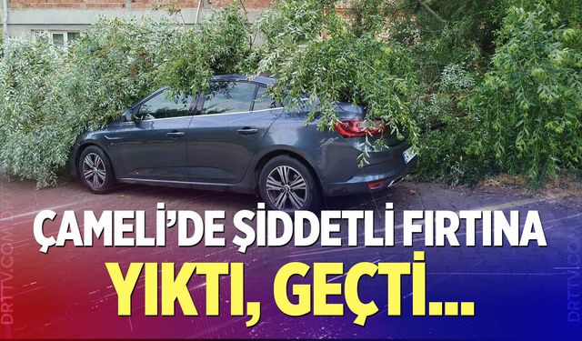 Çameli’yi Fırtına Vurdu!