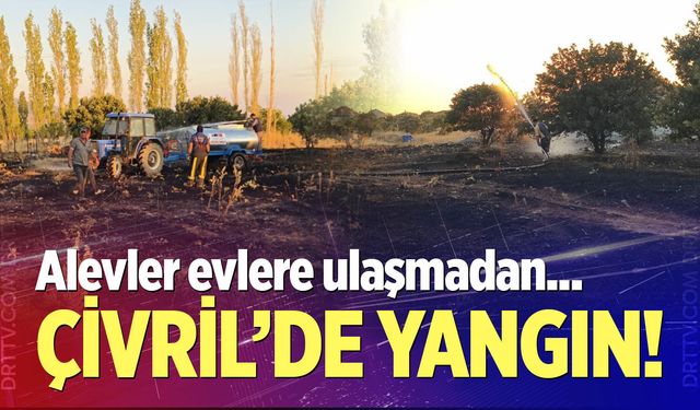 Çivril'de korkutan yangın