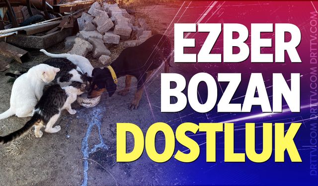 Buldan'da yürek ısıtan dostluk