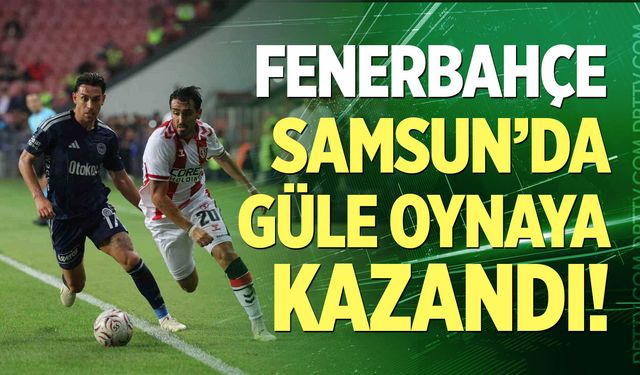 Fenerbahçe Samsun'da güle oynaya kazandı