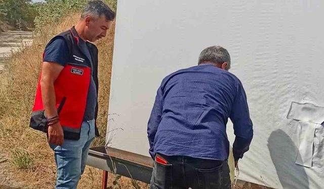 Haziran böceğiyle mücadele sürüyor