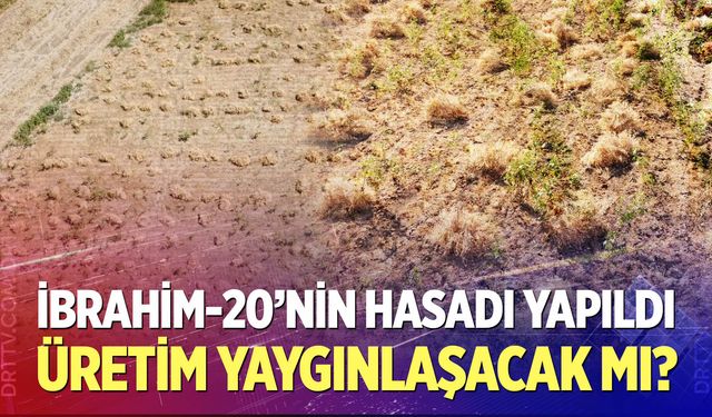 İbrahim-20 Tarlalarda Yaygınlaşacak mı?