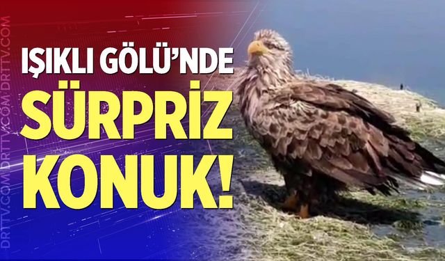 Çivril’de nilüfer turunun sürprizi