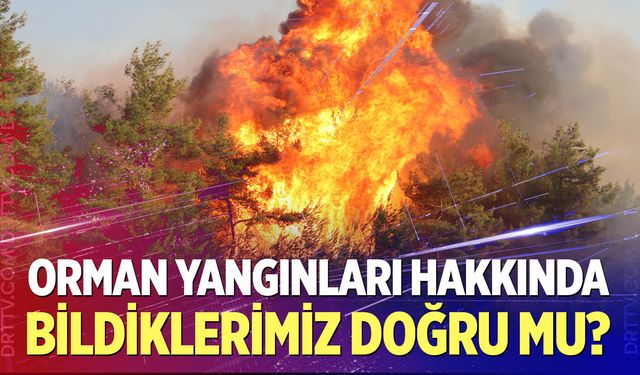 Her Yangından Sonra Gündeme Geliyor! Gerçek Payı Var mı?