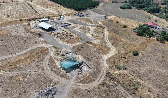 Tarlada fidan dikerken şaşırtan keşif