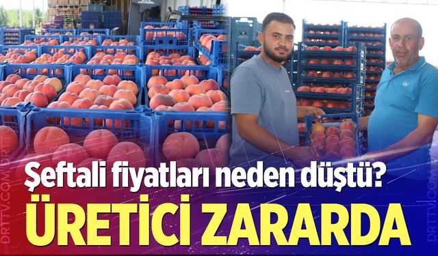 Şeftali fiyatları neden düştü?