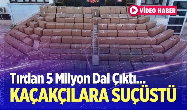 Denizli'de kaçakçılara suçüstü