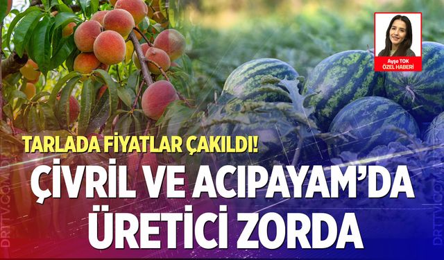 Denizli’de tarım alarmda! Şeftali ve karpuz üreticisi darda