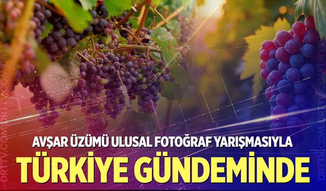 Avşar’ın 800 yıllık mirası Türkiye gündeminde