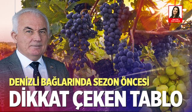 Denizli bağlarında sezon öncesi dikkat çeken tablo