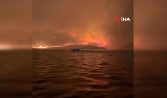 Spokane yangınları büyüyor: 8 bin dönümden fazla alan yandı