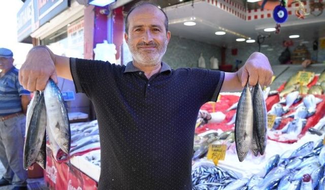 Yıllardır böylesi görülmedi: Karadeniz’den palamut fışkırıyor