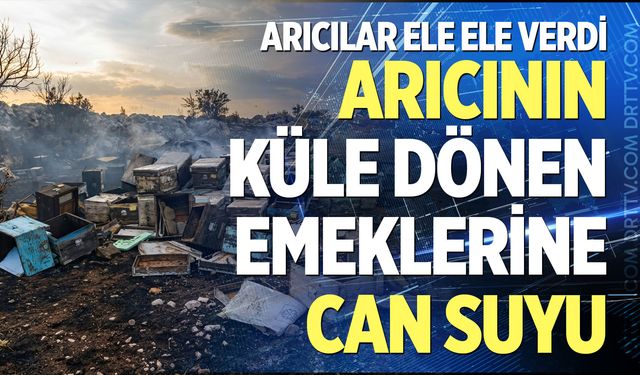 Arıcının küle dönen emeklerine can suyu