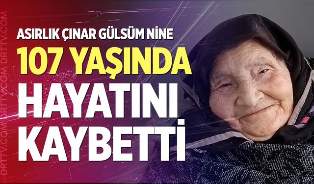 Asırlık çınar 107 yaşında hayatını kaybetti