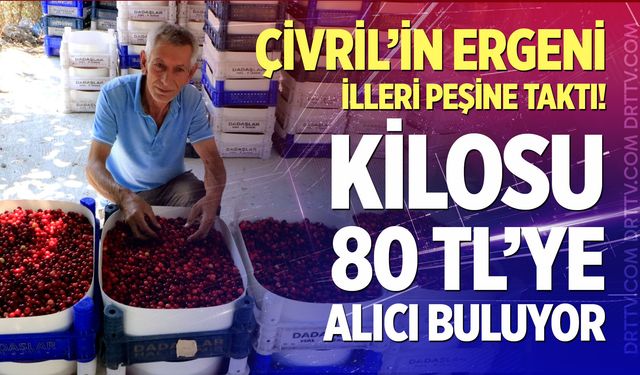 Çivril’in ergeni illeri peşine taktı! Kilosu 80 tl’ye alıcı buluyor
