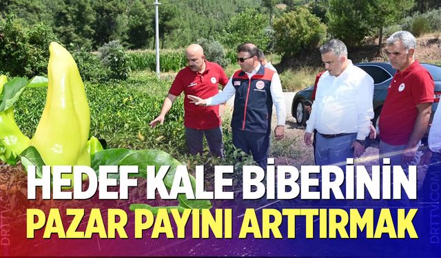 Hedef Kale Biberinin Pazar Payını Arttırmak
