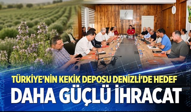 Türkiye'nin kekik deposu Denizli'de hedef: Daha güçlü ihracat