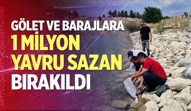 Gölet ve barajlara 1 Milyon yavru sazan bırakıldı
