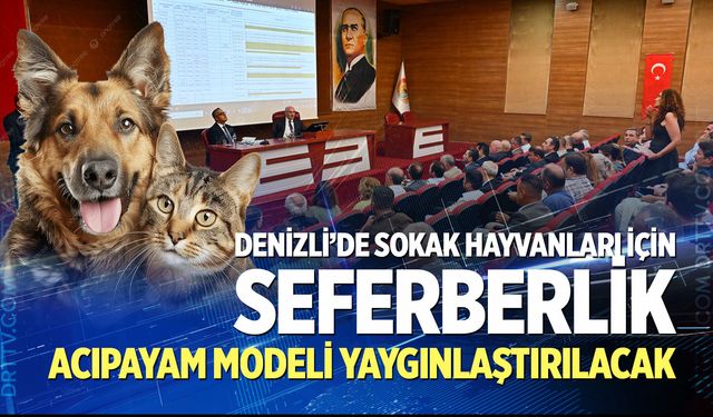 Denizli’de sokak hayvanları için seferberlik