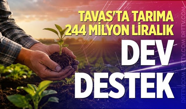 Tavas'ta tarıma 244 milyon liralık dev destek