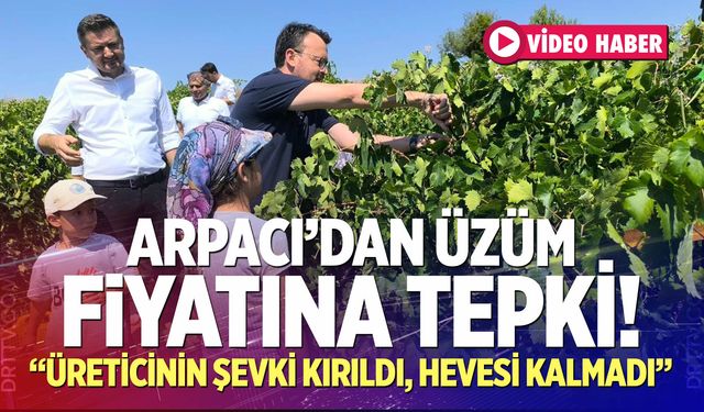 Arpacı’dan üzüm fiyatına tepki: “Üreticinin şevki kırıldı, hevesi kalmadı”