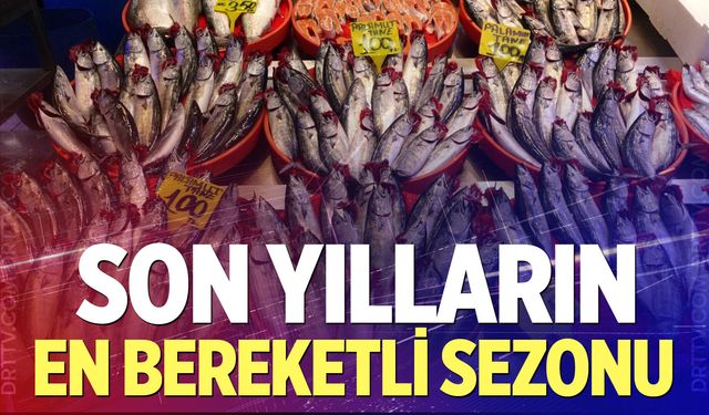 Balıkçıların yüzü bu sezon gülüyor