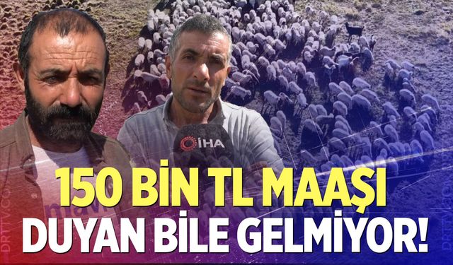 Çoban maaşları dudak uçuklattı, ama sorun çözülmedi
