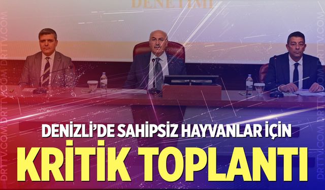 Denizli'de sahipsiz hayvanlar için kritik zirve