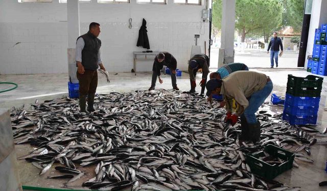 Muğla, Ege Bölgesinin ihracat artış lideri