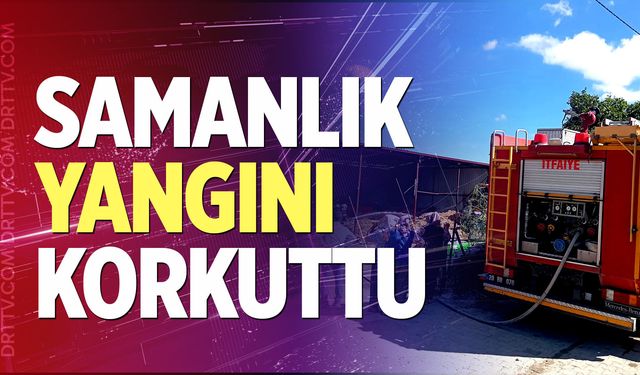 Denizli’nin Buldan İlçesi’nde Çıkan Samanlık Yangını Korkuttu