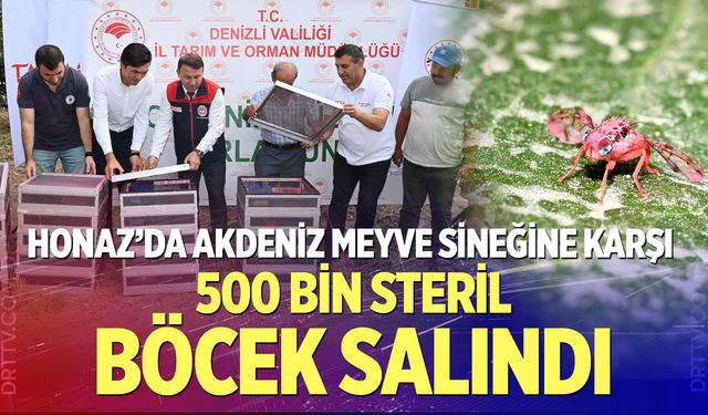 Honaz’da Akdeniz Meyve Sineğine Karşı 500 Bin Steril Böcek Salındı