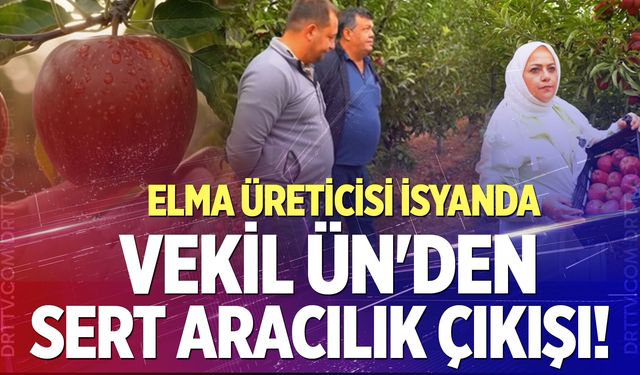 Elma üreticisi isyanda!  Vekil Ün'den sert aracılık çıkışı