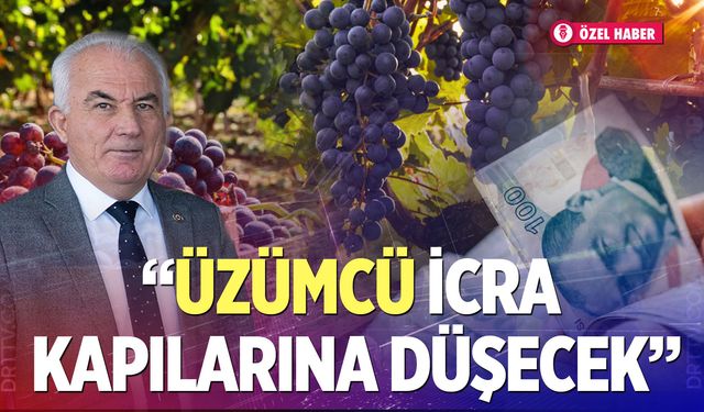 Başkan Gemici’den üzüm isyanı; “Kökten Zarar, İcra Kapılarına Düşeceğiz"