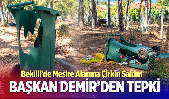 Bekilli’de Mesire Alanına Çirkin Saldırı: Başkan Demir’den Tepki