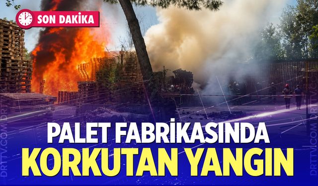 Palet fabrikasında korkutan yangın