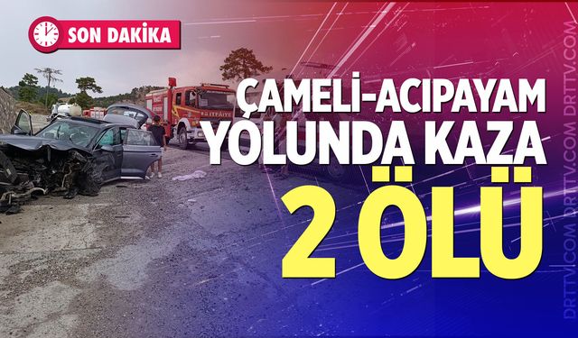 Çameli-Acıpayam yolunda kaza: 2 ölü