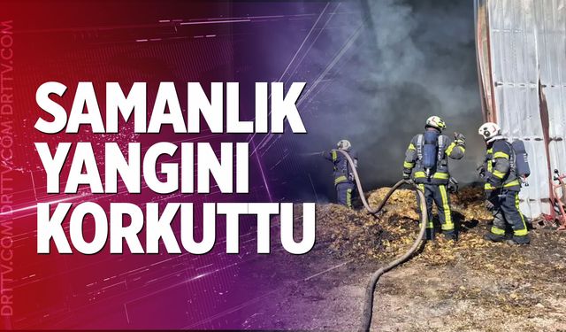 Denizli’nin Tavas İlçesinde çıkan yangın korkuttu