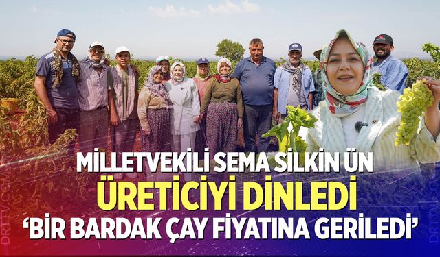 Denizli Milletvekili Ün, üzüm üreticisini dinledi