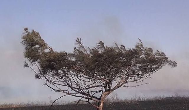 İklim Değişikliği Başkanı Hasar'dan önemli mesaj