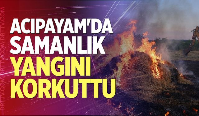 Denizli’nin Acıpayam İlçesi’nde Samanlık Yangını Korkuttu