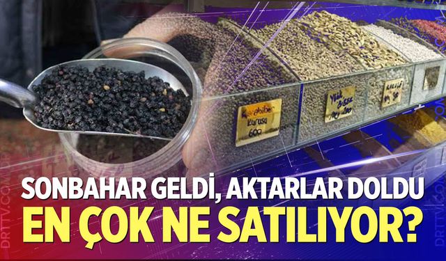 Aktarlarda sonbahar hareketliliği başladı