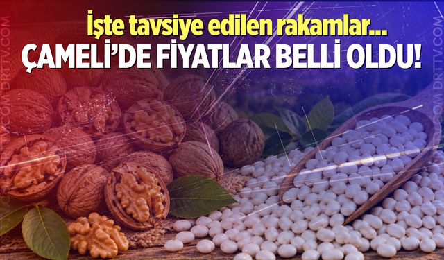 Çameli'de ceviz ve fasulye fiyatları netleşti!